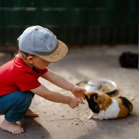 Inselhaus Eg Und Og Staberdorf