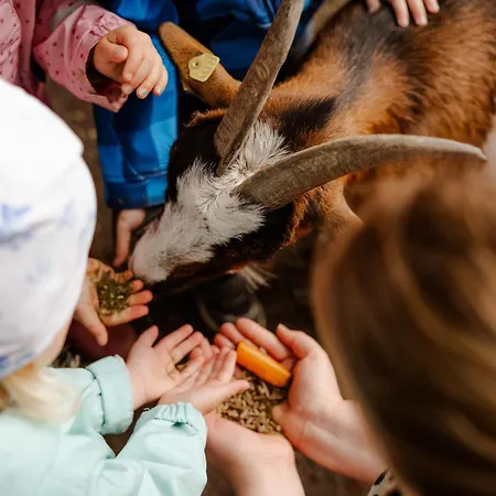 Inselhaus Eg Und Og Apartman Staberdorf