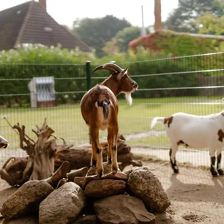 Апартаменты Inselhaus Eg Und Og Staberdorf