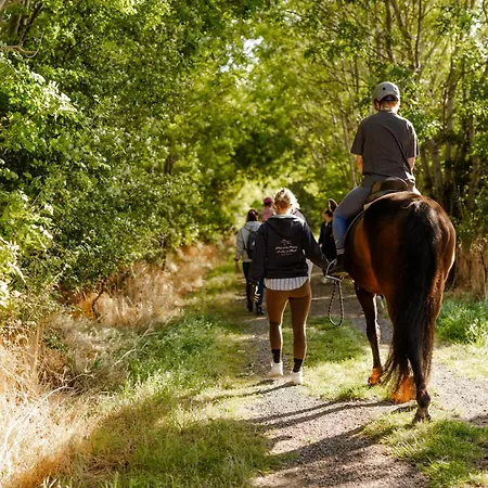 Inselhaus Eg Und Og * Staberdorf