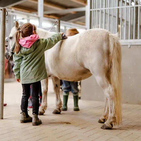 Апартаменты Inselhaus Eg Und Og