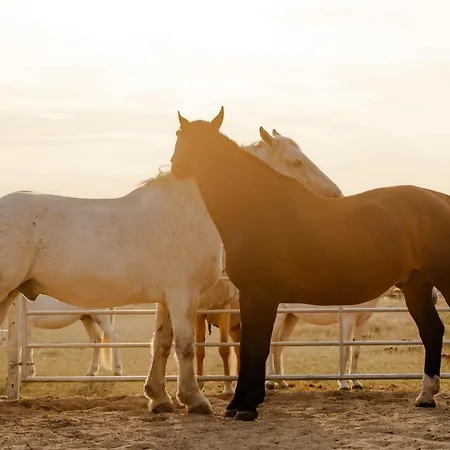 Inselhaus Eg Und Og Апартаменты *