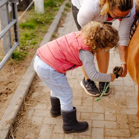 Апартаменты Inselhaus Eg Und Og *