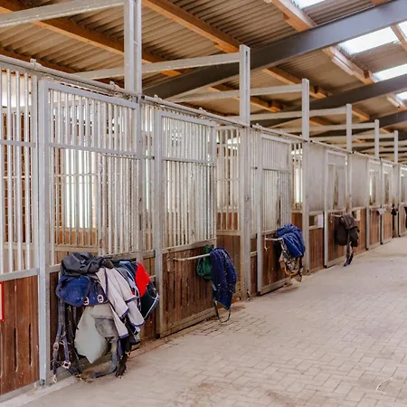 Apartman Inselhaus Eg Und Og Staberdorf