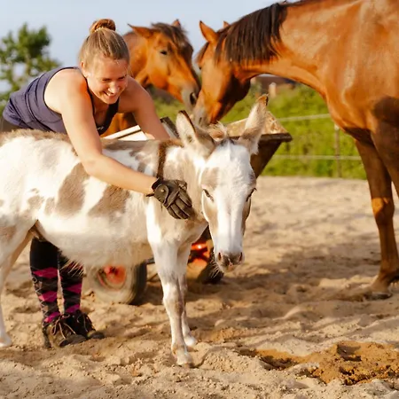 Inselhaus Eg Und Og Apartman *